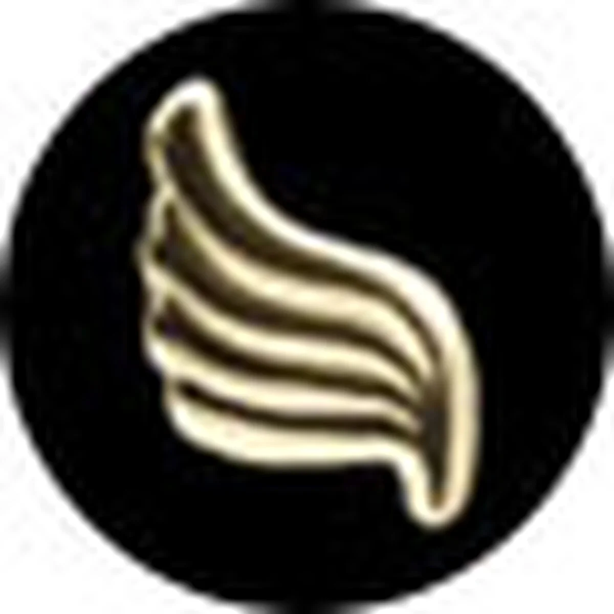 Wings Changing Bag (CYBEX by Jeremy Scott)
